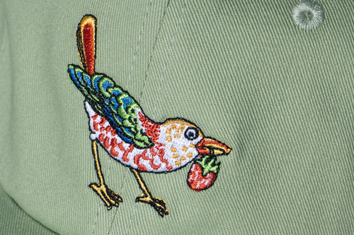 Strawberry Bird Hat